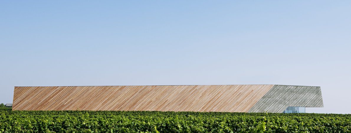 Vineyard Preisinger